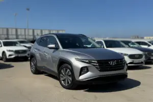 מימון ל-TUCSONLUXURY2021